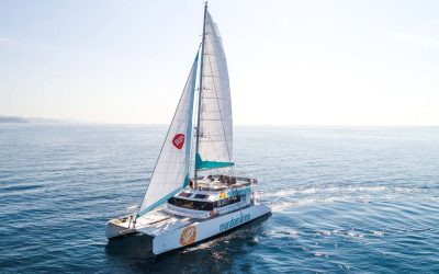 Innova Cruceros da el salto a la digitalización con tecnologías inmersivas gracias al programa “Última Milla”